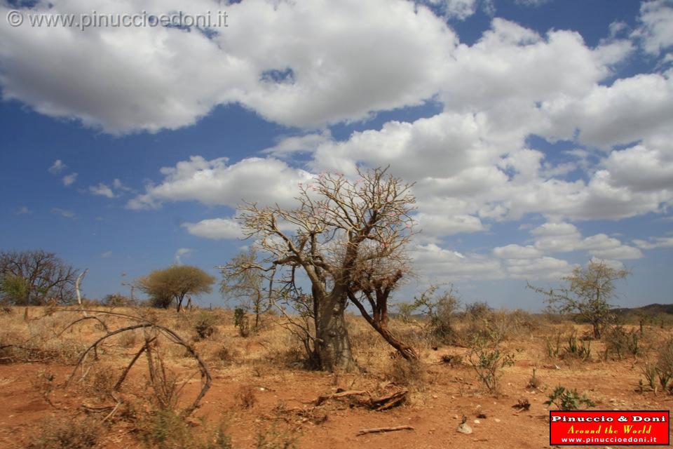 Ethiopia - Ritorno verso Turni - 3.jpg